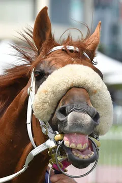 幸运28 联系方式